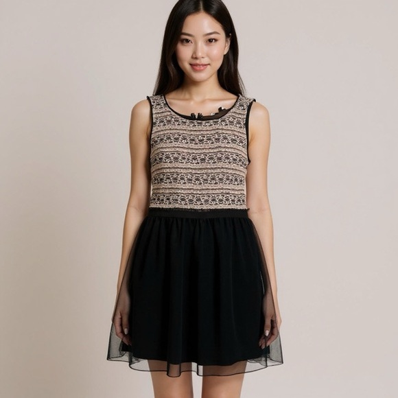 NWT Elegant Black and Cream Dress - Lace Top and Flowy Chiffon bottom - Zip Up - Picture 1 of 5